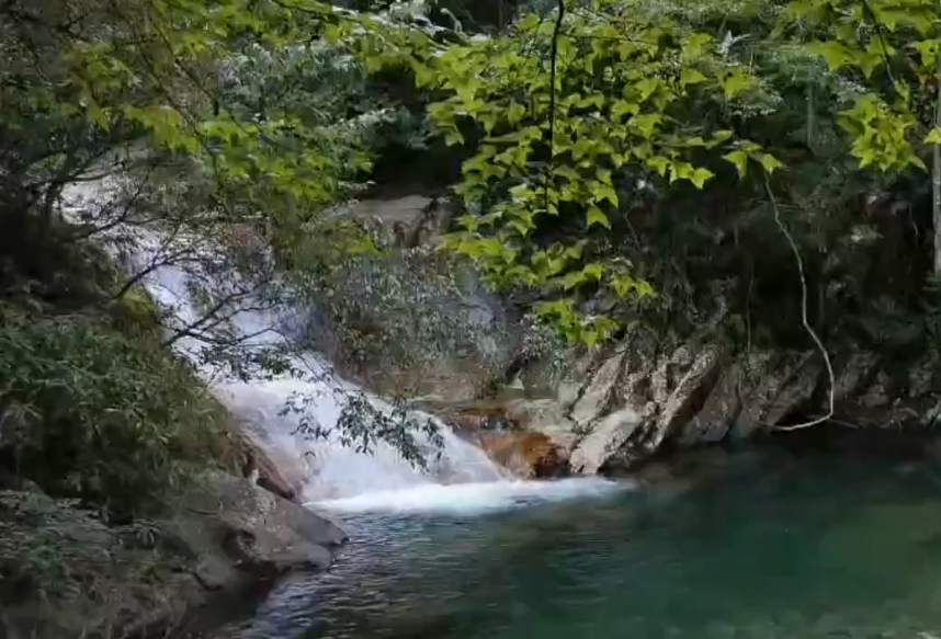 微信图片_20201201142818.png 微信图片_20201201142818.png