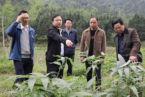 微信图片_20200425182142_副本.png