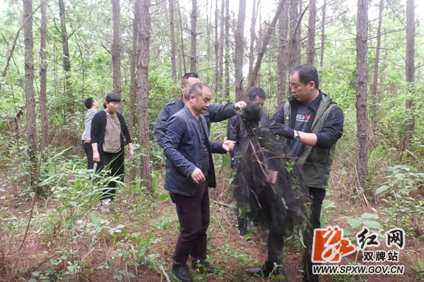 微信图片_20200429181111_副本.png