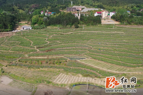 微信图片_20200429183748_副本.png
