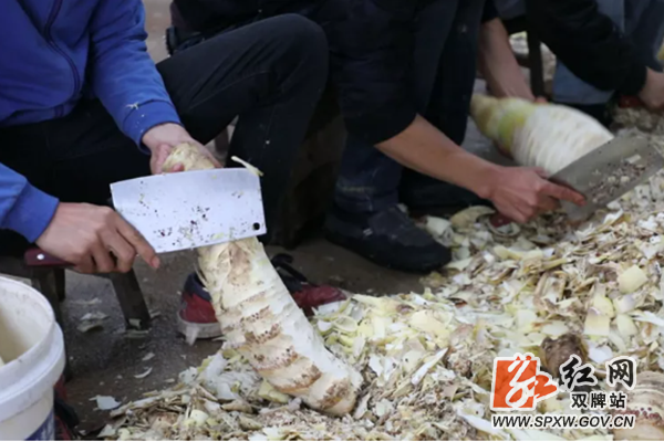 微信图片_20200520162145_副本.png