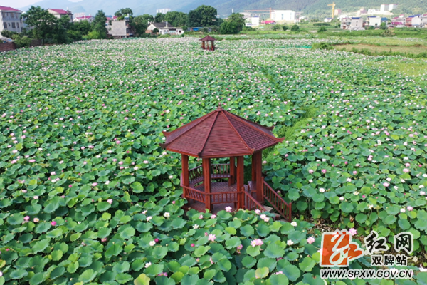微信图片_20200715114423_副本.png