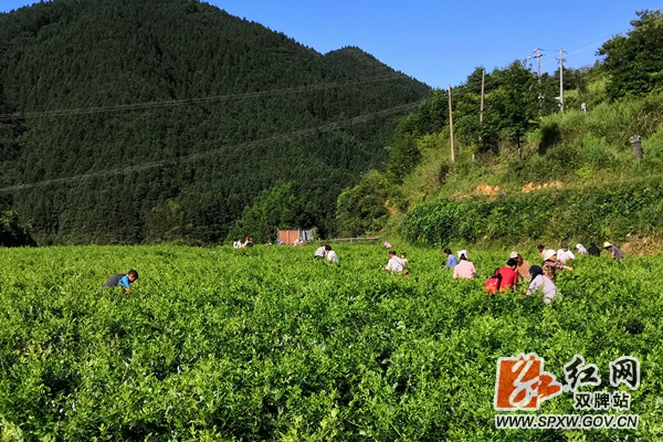 微信图片_20200804181759_副本.jpg 微信图片_20200804181759_副本.jpg