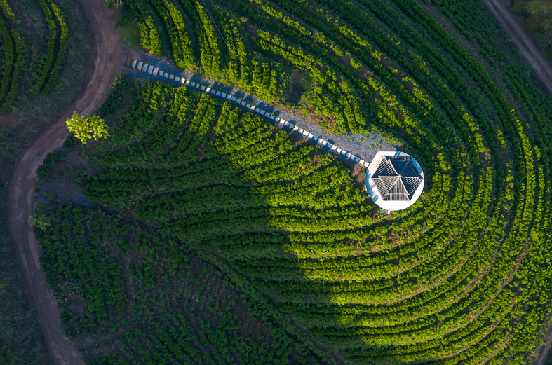云台山 3 茶场(曹建军).png 云台山 3 茶场(曹建军).png