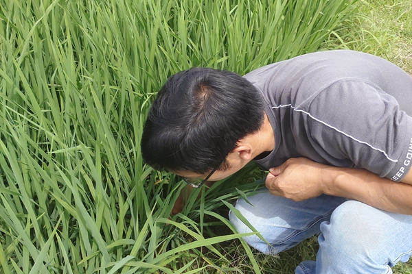 农技指导_副本.jpg