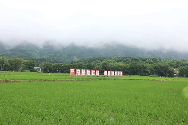 微信截图_20220609150915_副本.png