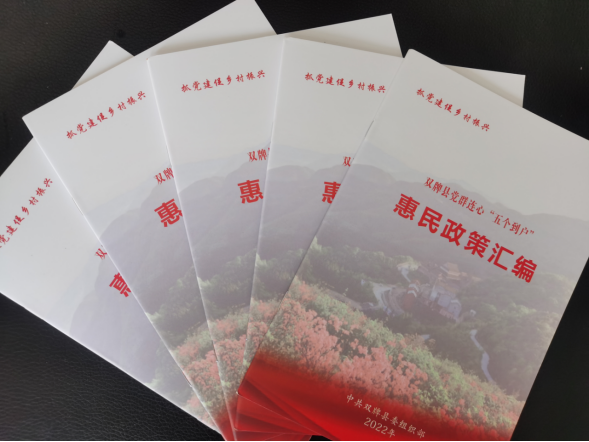 双牌：抓实驻村帮扶  助推乡村振兴936.png