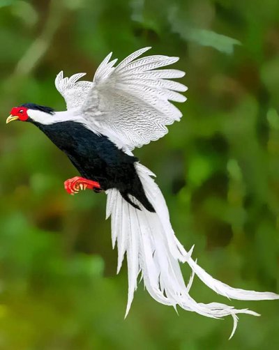 t041153780fc002a781.jpg t041153780fc002a781.jpg