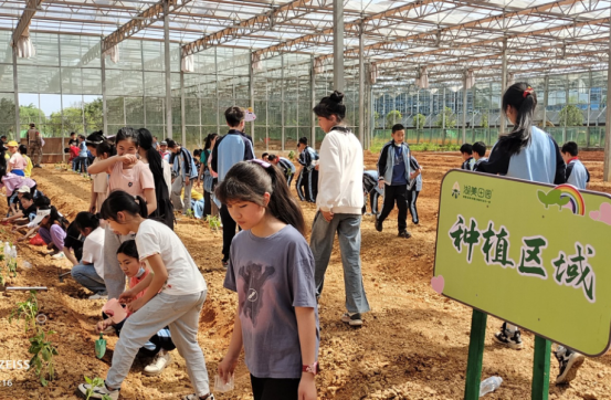 双牌三小：坚持五育融合  筑牢成长“心根基”1211.png