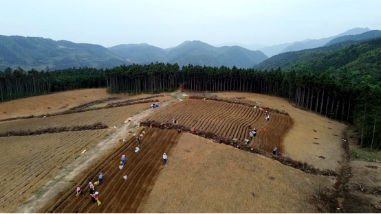 双牌：“三个突出” 为抓党建促乡村振兴“蓄势赋能”docx1541.png
