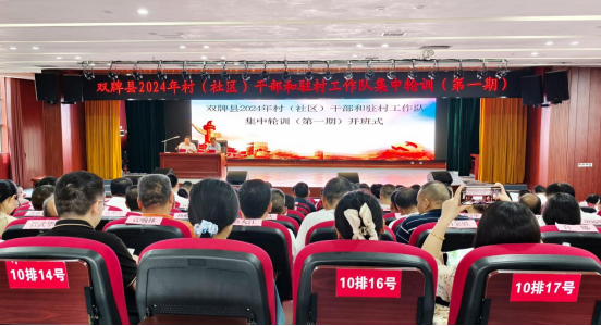 双牌：“三个突出” 为抓党建促乡村振兴“蓄势赋能”docx863.png