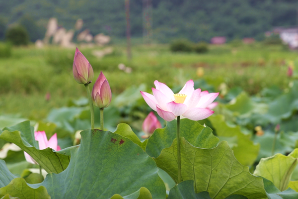 微信截图_20250626112636_副本.png