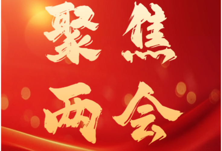 县市区两会丨政协委员陆续报到 双牌开启“两会时间”