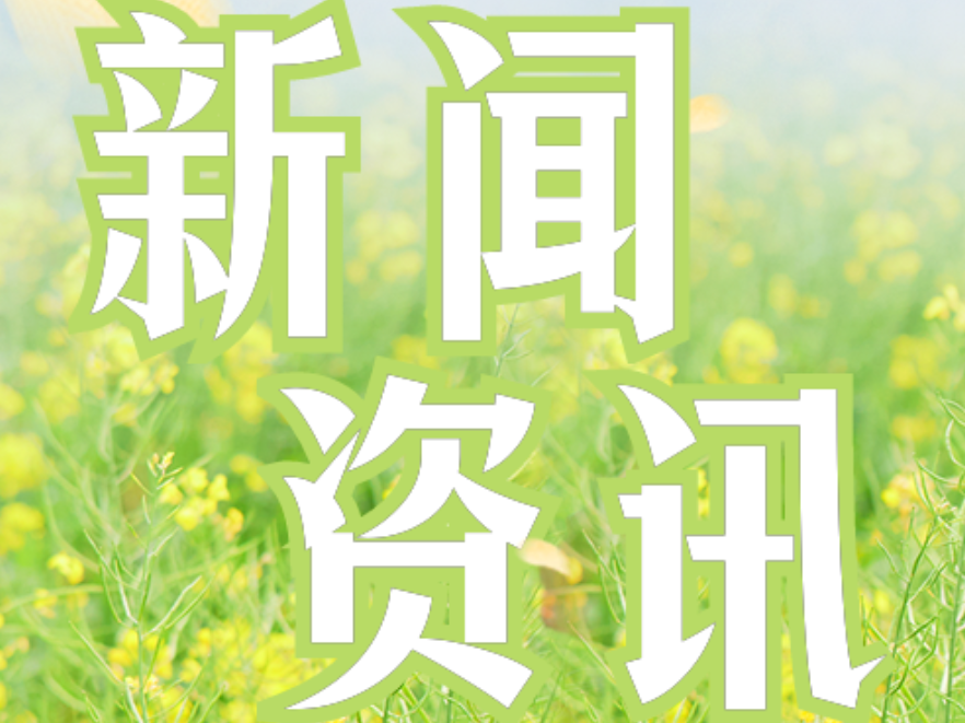 双牌塘底乡：开展环境整治新篇章 扮靓和美乡村新画卷