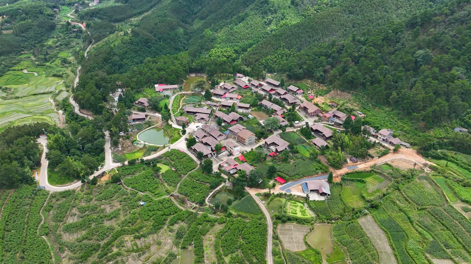 盘家村鹰嘴桃1.png