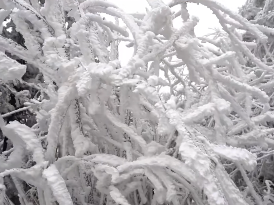 双牌阳明山景区开年首场雾凇惊艳上线