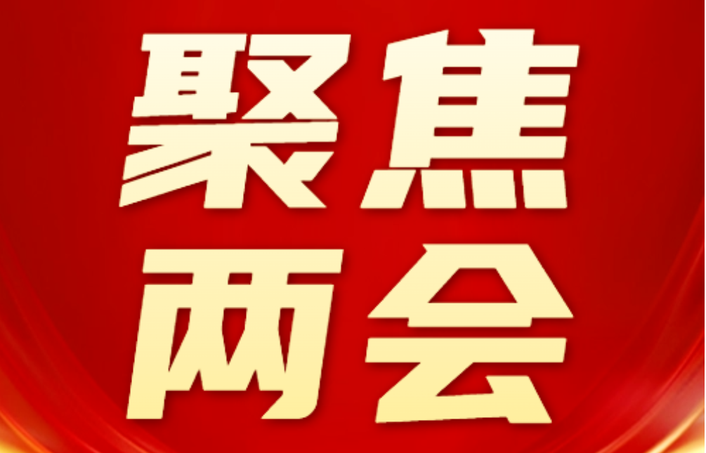 聚焦两会｜双牌县两会党员代表和委员会议召开