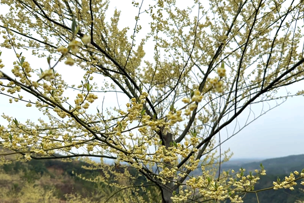 ScreenShot_2026-02-27_105922_520_副本.png ScreenShot_2026-02-27_105922_520_副本.png