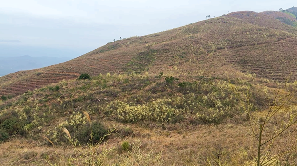 ScreenShot_2026-02-27_110124_780_副本.png ScreenShot_2026-02-27_110124_780_副本.png