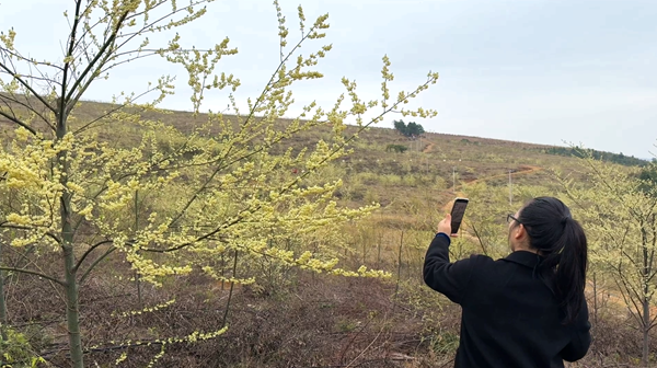 ScreenShot_2026-02-27_110058_139_副本.png ScreenShot_2026-02-27_110058_139_副本.png