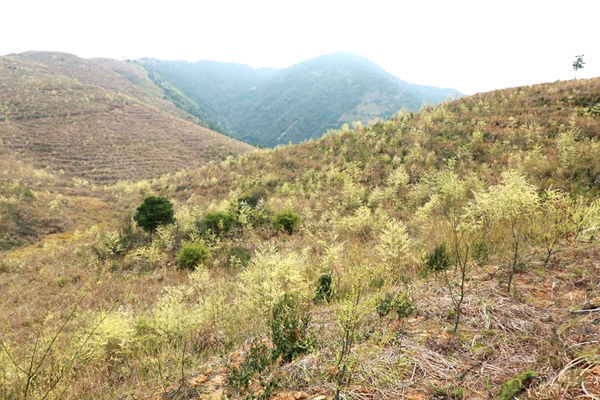 ScreenShot_2026-02-27_105500_397_副本.png ScreenShot_2026-02-27_105500_397_副本.png