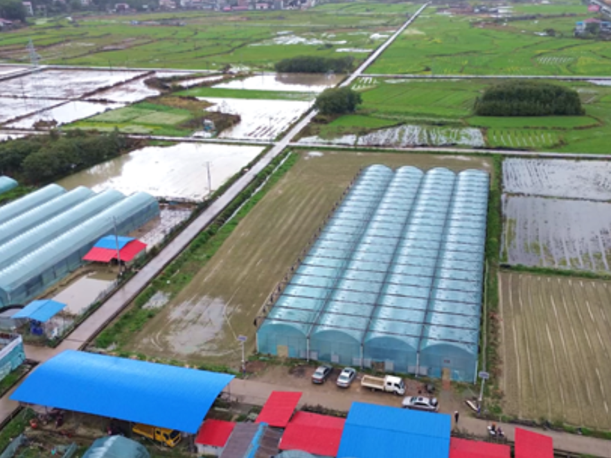 双牌：抢抓农时育早稻 科技赋能备春耕