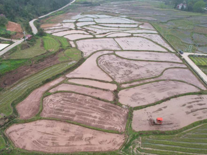 双牌五里牌镇：春启沃野忙备耕 科技赋能抢农时