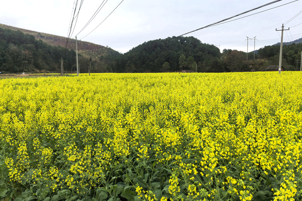 a90fa44e159cac8aae067714fcce4eba_副本.jpg a90fa44e159cac8aae067714fcce4eba_副本.jpg