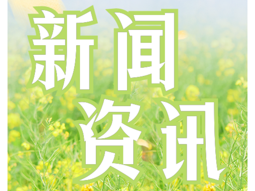 双牌县打鼓坪乡：抢抓农时忙春耕 筑牢粮食安全根基