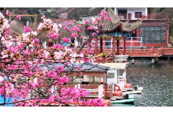 花花世界 | 接下来，双牌的春天是这样的！