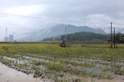 双牌：机械化赋能 春耕生产跑出“加速度”