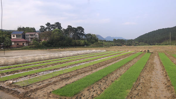 ScreenShot_2026-04-14_101953_657_副本.png ScreenShot_2026-04-14_101953_657_副本.png