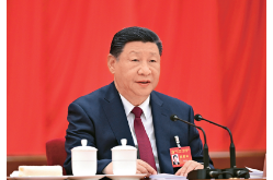 习近平：学习好贯彻好党的二十届四中全会精神