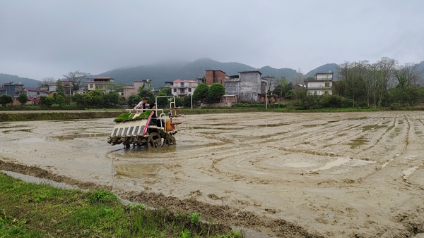 微信图片_20260408163427_297_10_副本.jpg 微信图片_20260408163427_297_10_副本.jpg