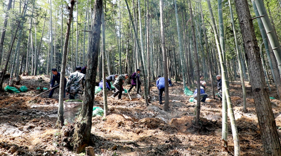 双牌：冬春集训强本领 乡村振兴添动力1354.png