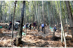 双牌：冬春集训强本领 乡村振兴添动力