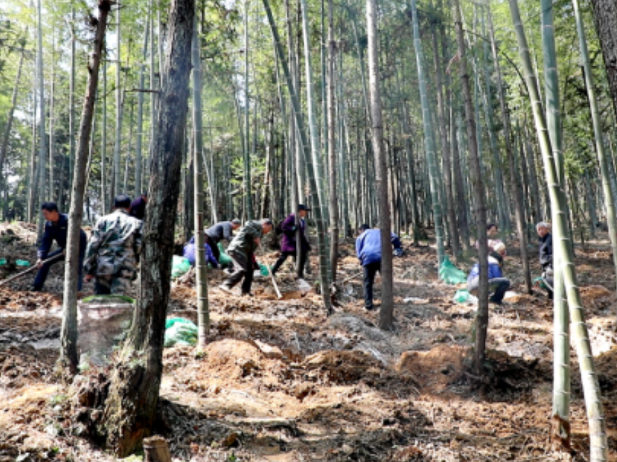 双牌：冬春集训强本领 乡村振兴添动力