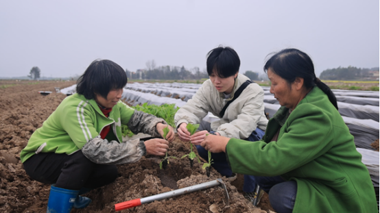 双牌：冬春集训强本领 乡村振兴添动力780.png