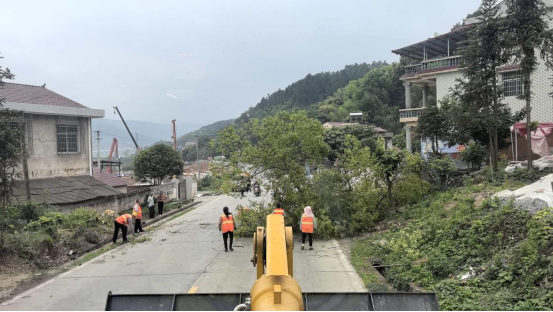 湖南双牌:给弯道树木“减负”,让前路一目了然168.png