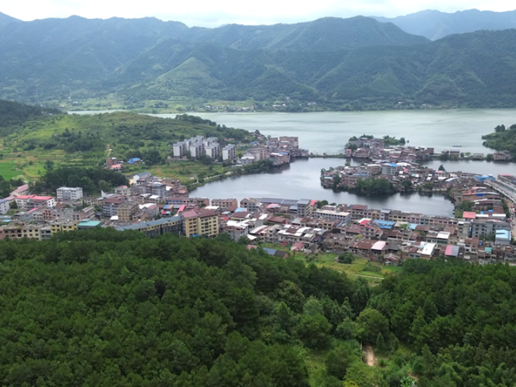 双牌江村镇：栋竹笋新鲜上市 特色产业铺就乡村致富路