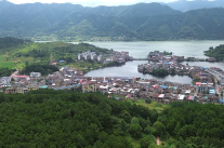 双牌江村镇：栋竹笋新鲜上市 特色产业铺就乡村致富路