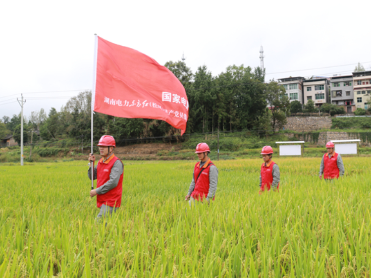 国网双牌县供电公司：电力护航水利灌溉 赋能良田稳产增收