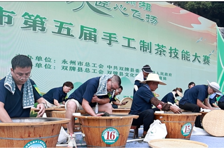 赴双牌山水之约 看指尖炒茶对决 永州市第五届手工制茶技能大赛开赛