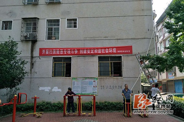 扫黑除恶，看双牌林业人如何担当h.jpg
