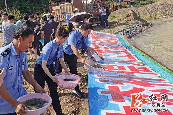 增殖放流鱼苗_副本.jpg