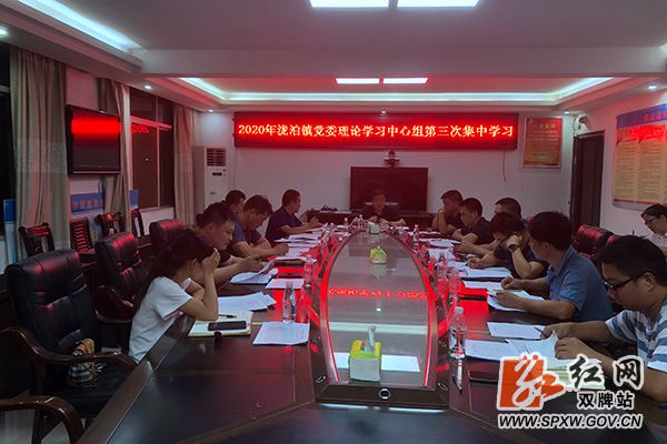 （理论学习）双牌县泷泊镇党委理论学习中心组_副本.jpg