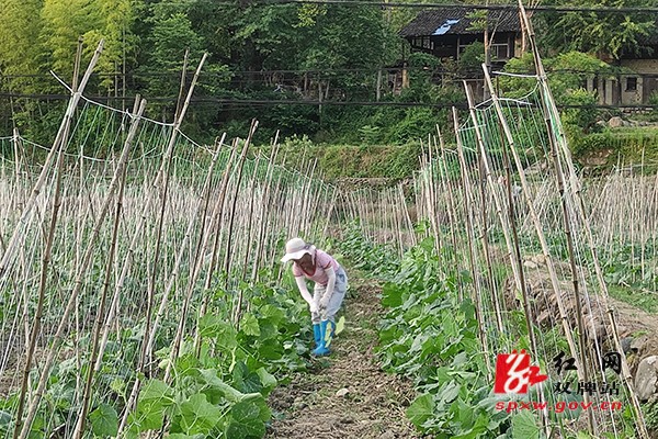 织起致富网搭起幸福桥1过关灌灌灌灌.jpg