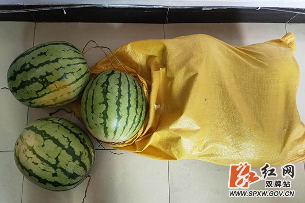 微信图片_20200716092025_副本.jpg
