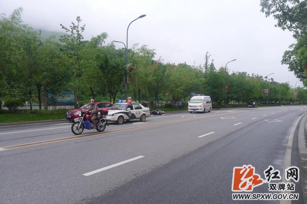 交警 (2)_副本_加水印.jpg