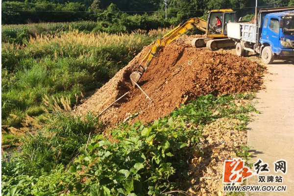 “清四乱”专项整治行动 照片_副本_加水印.png